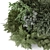 Lush Outdoor Plants Bush Collection 3D model small image 4