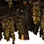 Cedrus Deodara 3D Tree Model 3D model small image 3