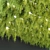  PBR Hanging Plants Collection Vol. 248 3D model small image 4