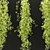  PBR Hanging Plants Collection Vol. 248 3D model small image 5