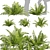 Quality Shrub Lady Fern 3D 3D model small image 1