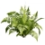 Quality Shrub Lady Fern 3D 3D model small image 3