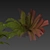 Quality Shrub Lady Fern 3D 3D model small image 7