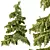  Cedrus Deodara 3D Models Pack 3D model small image 2