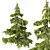  Cedrus Deodara 3D Models Pack 3D model small image 3