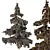  Cedrus Deodara 3D Models Pack 3D model small image 4