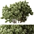 Versatile Greenery Mix 136 3D model small image 2