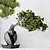 Evergreen Pinus Bonsai Tree 3D model small image 3