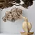 Evergreen Pinus Bonsai Tree 3D model small image 4