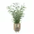 Bamboo Plants Collection 3D Model 3D model small image 4