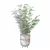 Bamboo Plants Collection 3D Model 3D model small image 5