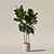 Ficus Lyrata 3D Plants Collection 3D model small image 7