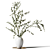 Eucalyptus Branches in White Vase 3D model small image 1