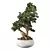 Elegant Bonsai Trio Set 3D model small image 1