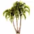 Exotic Adonidia Palm Tree Model 3D model small image 1