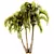 Exotic Adonidia Palm Tree Model 3D model small image 3