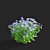 Divaricate Phlox Flower Collection 3D model small image 7