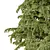 Title: Deodara06 3D Tree Model 3D model small image 2