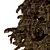 Title: Deodara06 3D Tree Model 3D model small image 3