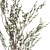 White Blossom Collection Set 3D model small image 7