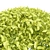 Goldmound Spiraea 3D Foliage Model 3D model small image 4