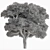 Camphor Tree 300 Set 3D model small image 3