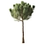 Pinus 4.2м Exterior Pine Tree 3D model small image 2