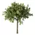 Enhanced Tree Sculpture: No.83 3D model small image 1