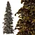 Cedar Tree Models Set 3D model small image 4