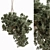 688 Hanging Indoor Plant Display 3D model small image 1