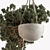 688 Hanging Indoor Plant Display 3D model small image 4