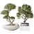 Modern Indoor Plant Set 3D 3D model small image 1