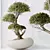 Modern Indoor Plant Set 3D 3D model small image 6