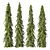 Cedrus Deodara 3D Tree Models 3D model small image 1