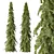 Cedrus Deodara 3D Tree Models 3D model small image 3