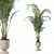 Tropical Beauty Areca Palm 3D 3D model small image 1