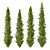 Cedrus Deodara 3D Model Collection 3D model small image 1