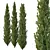 Cedrus Deodara 3D Tree Models 3D model small image 2