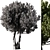 Olive Tree Set14: Detailed 3D Model 3D model small image 3