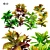 Tropical Croton Plants Set: 4 Variations 3D model small image 1