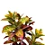 Tropical Croton Plants Set: 4 Variations 3D model small image 3