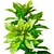 Tropical Croton Plants Set: 4 Variations 3D model small image 5