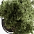 Blooming Beauties: Hanging Plants 3D model small image 3