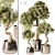 Modern Indoor Plant Model 3D model small image 1