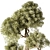 Modern Indoor Plant Model 3D model small image 2
