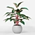 Infinity Aglaonema Plant 3D Model 3D model small image 1