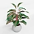 Infinity Aglaonema Plant 3D Model 3D model small image 3