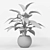 Infinity Aglaonema Plant 3D Model 3D model small image 11