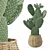 Desert Plant 3D Model Kit 3D model small image 1