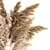 Luxury Pampas Grass Bouquet 3D model small image 2